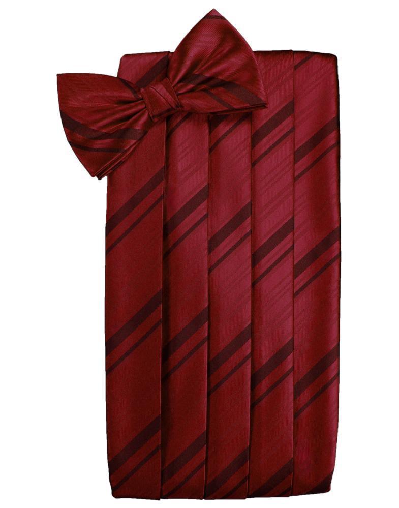 Cardi Apple Kids Striped Satin Cummerbund