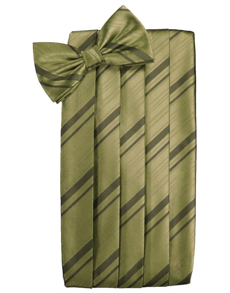 Cardi Fern Kids Striped Satin Cummerbund