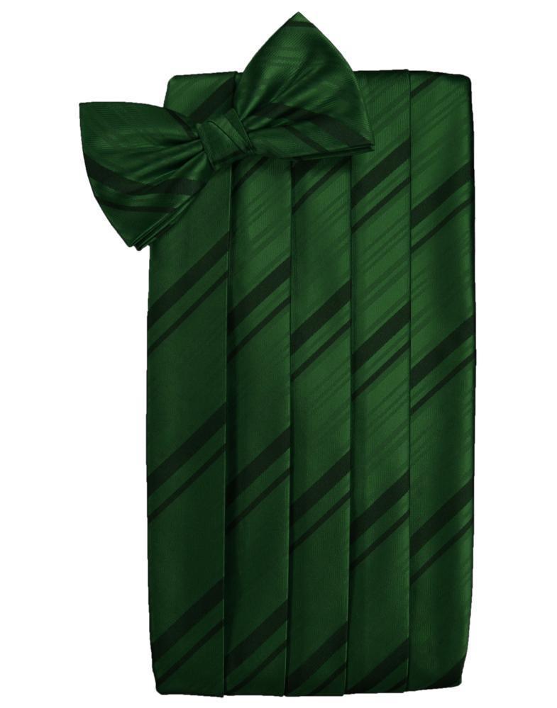 Cardi Hunter Kids Striped Satin Cummerbund