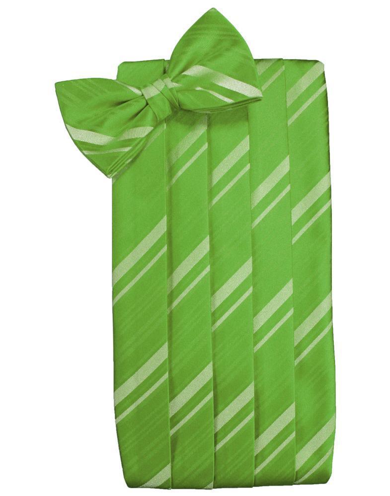 Cardi Kelly Kids Striped Satin Cummerbund