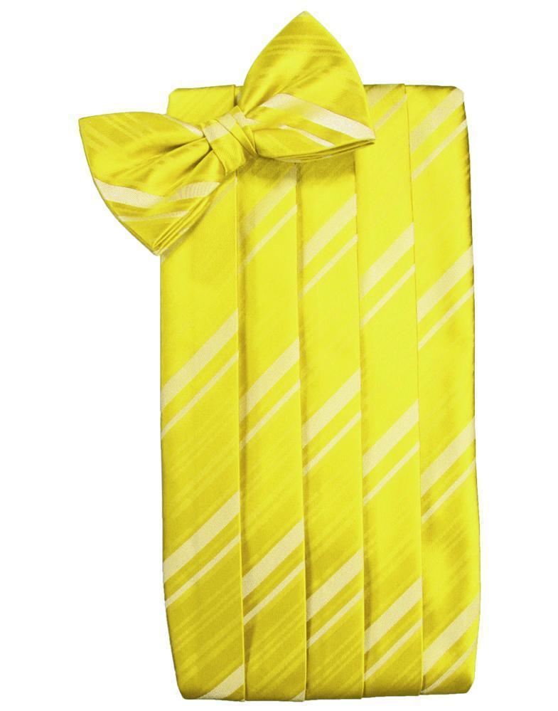 Cardi Lemon Kids Striped Satin Cummerbund
