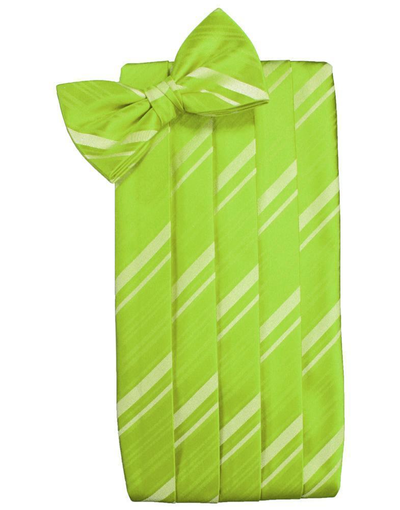 Cardi Lime Kids Striped Satin Cummerbund