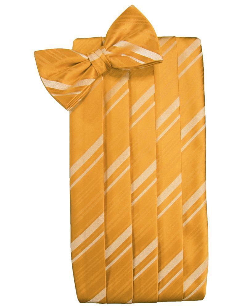 Cardi Mandarin Kids Striped Satin Cummerbund