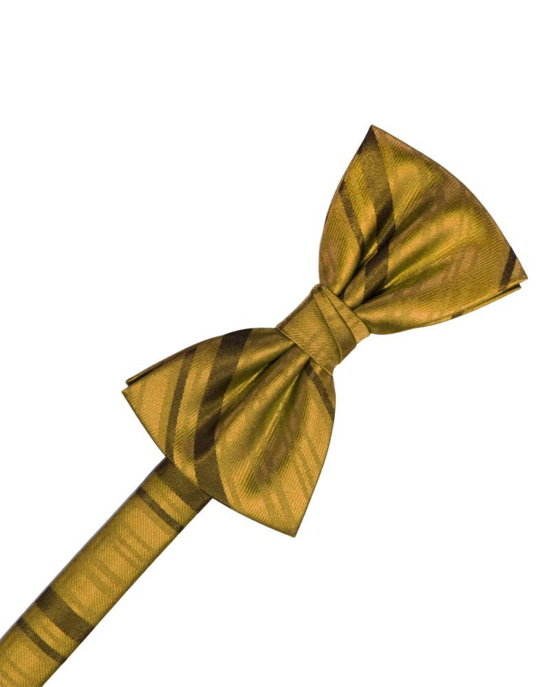 Cardi New Gold Striped Satin Kids Bow Tie