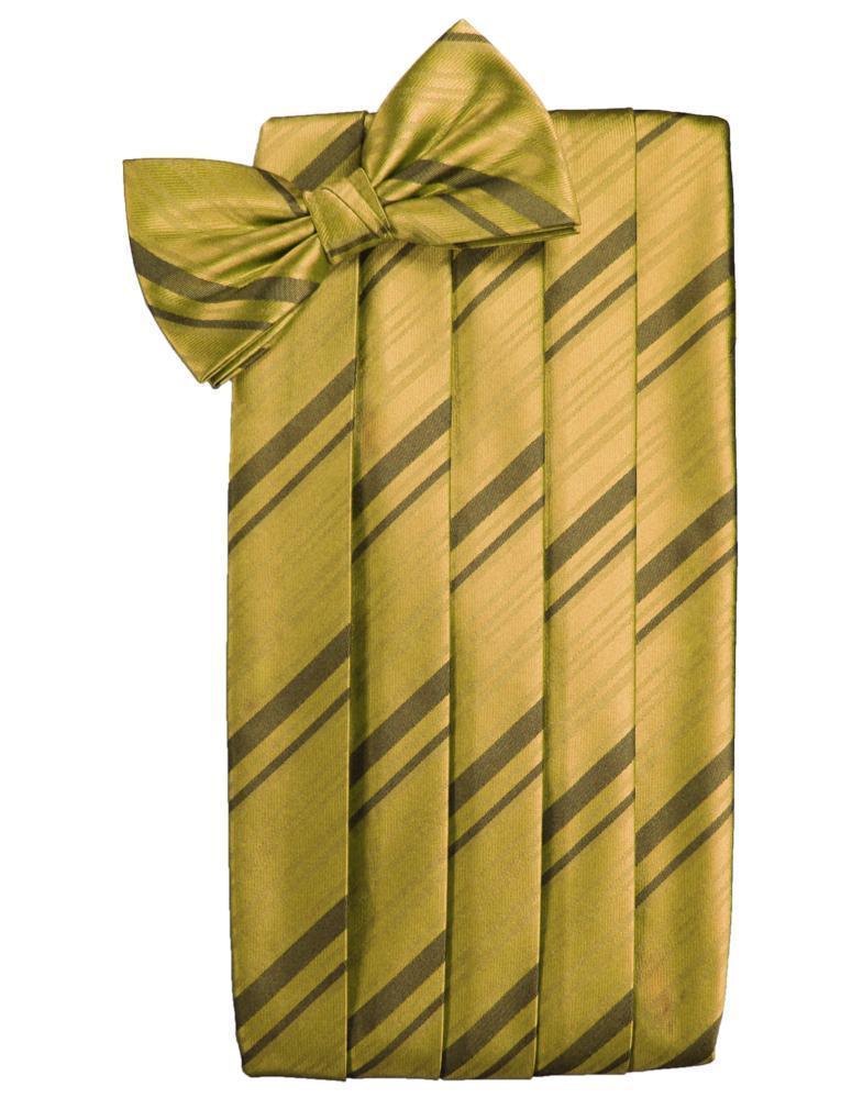 Cardi New Gold Kids Striped Satin Cummerbund