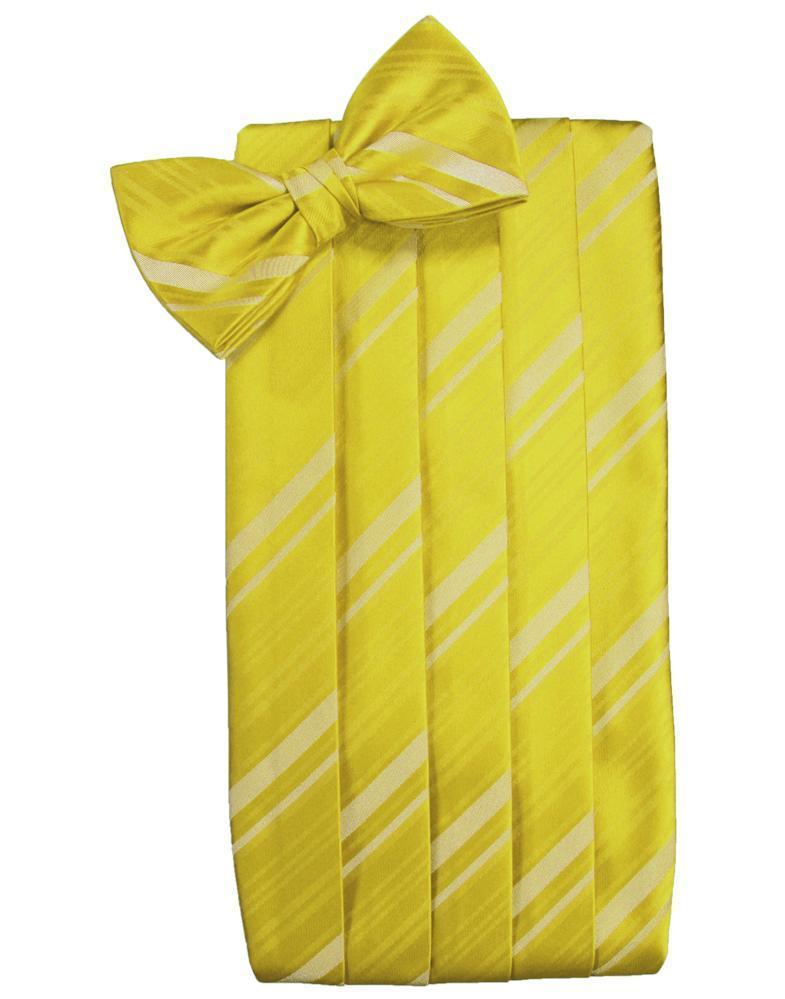 Cardi Willow Kids Striped Satin Cummerbund