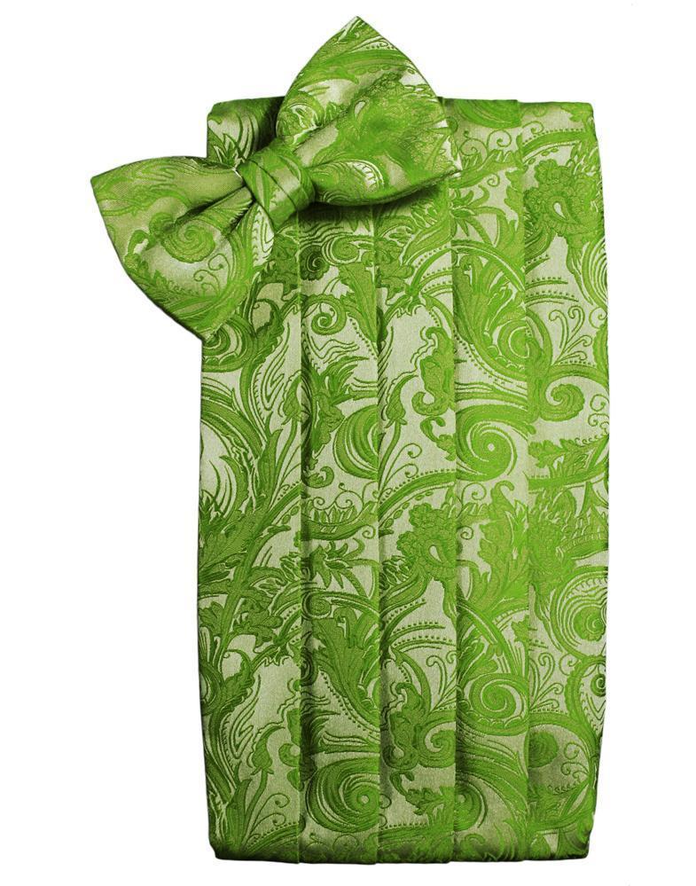 Cardi Clover Tapestry Kids Cummerbund