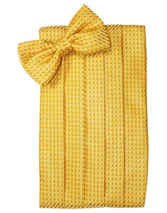Cardi Gold Venetian Kids Cummerbund