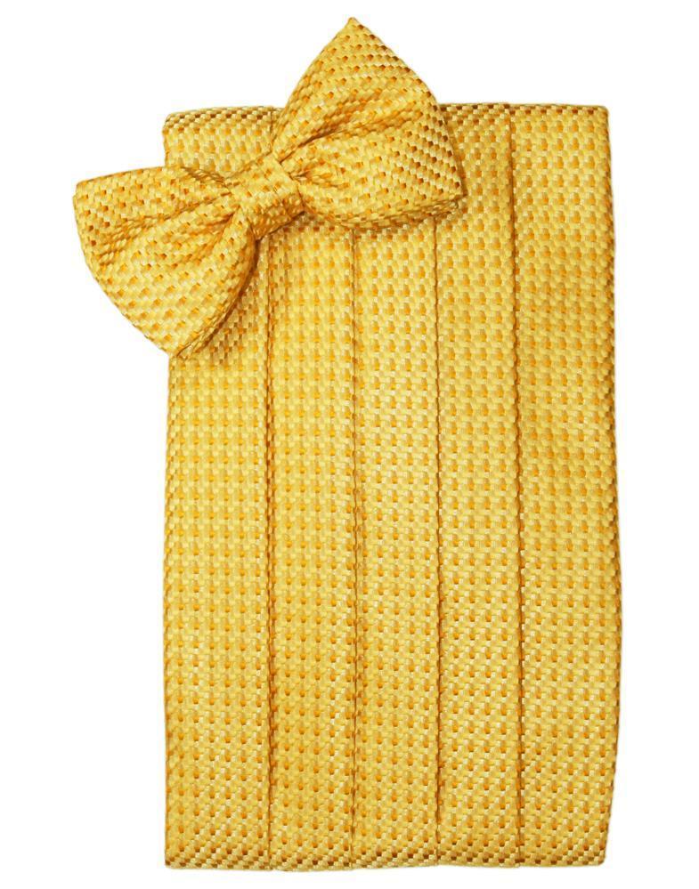 Cardi Gold Venetian Kids Cummerbund