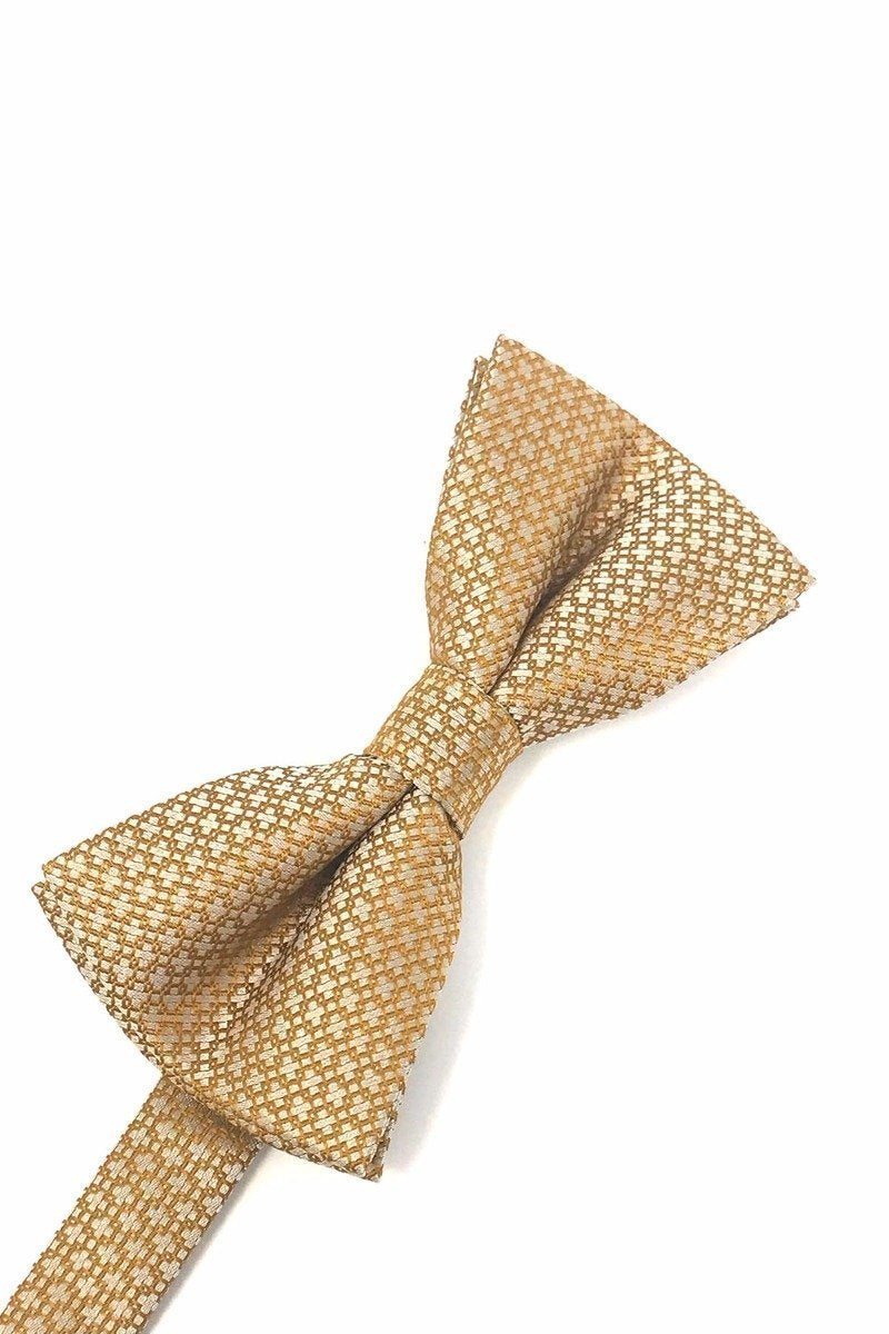 Cardi Gold Regal Kids Bow Tie