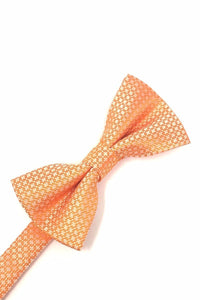 Cardi Orange Regal Kids Bow Tie